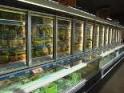 Practices for energy saving refrigeration systems
