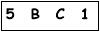 salt-215005B8