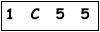 salt-A131B1C5