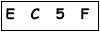 salt-8C9A9720