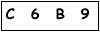 salt-9887138B