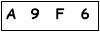salt-8BAC3C11