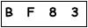 salt-8BE4E2BB
