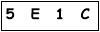 salt-468A4934