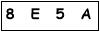 salt-552649B2