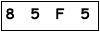 salt-4F50B9C4