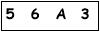 salt-9D6B4470