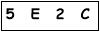 salt-1C8AEAC9