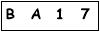 salt-10F3BCEB