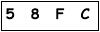 salt-B509A9AF