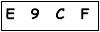 salt-E93FA4B2