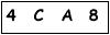 salt-CADDA34C