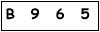 salt-516EED59
