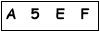 salt-37B19D40