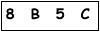 salt-3025FD1B