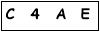 salt-36CB8A6D