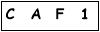 salt-F91A3981