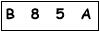 salt-699A1161