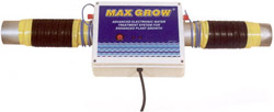 Max Grow Max Grow