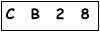 salt-1451C891